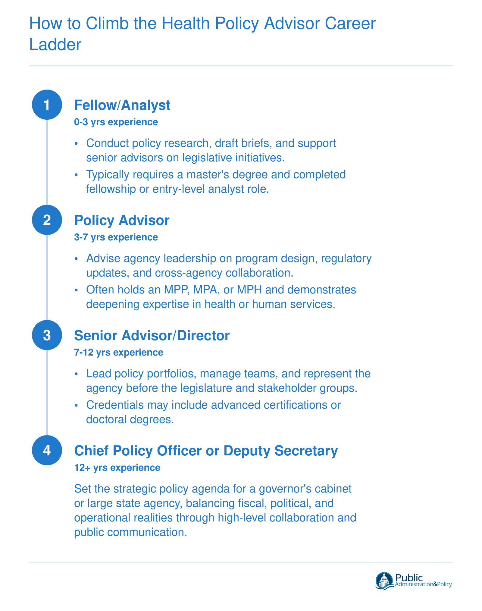 Career progression from Fellow/Analyst to Chief Policy Officer over 10-15 years with increasing responsibility
